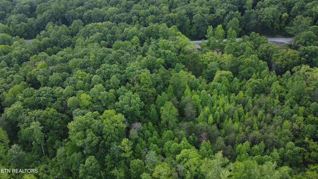 2990 Wassom Memorial Hwy, Spring City, TN 37381 - photo 13