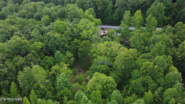 2990 Wassom Memorial Hwy, Spring City, TN 37381 - photo 16