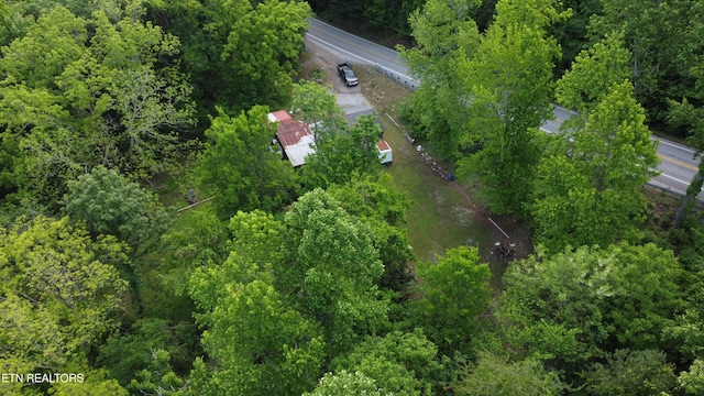 2990 Wassom Memorial Hwy, Spring City, TN 37381 - photo 18