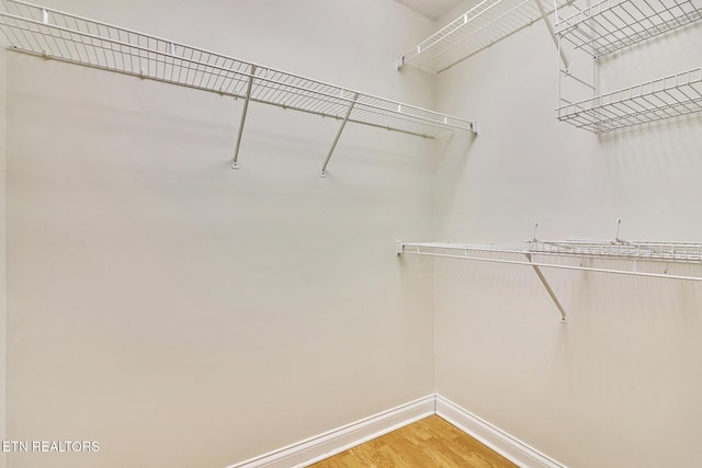 spacious closet with wood-type flooring