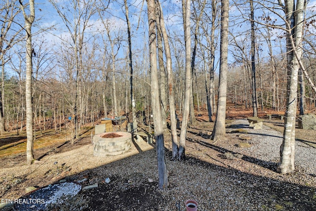 view of yard featuring a fire pit