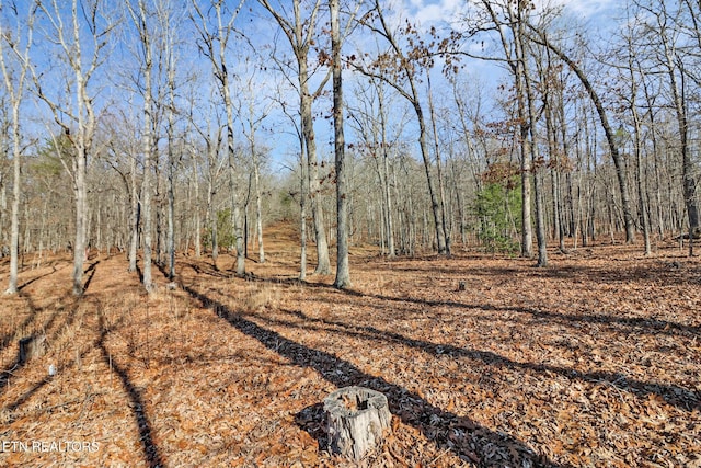 view of local wilderness