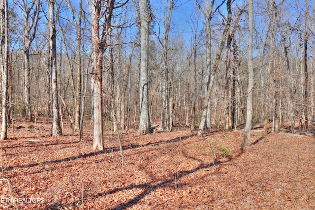 Listing photo 2 for LOT151 E Shore Dr, Rockwood TN 37854