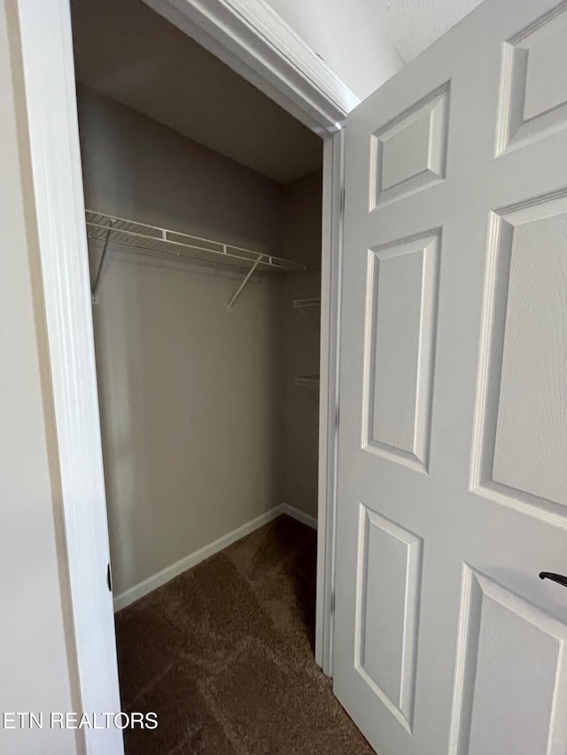 view of closet