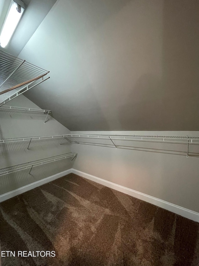 spacious closet featuring vaulted ceiling and carpet