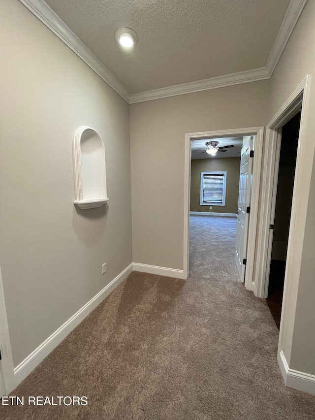 carpeted spare room featuring ornamental molding and a textured ceiling