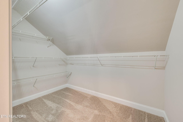 spacious closet featuring carpet and vaulted ceiling