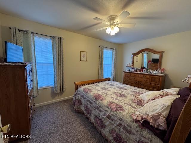 bedroom with ceiling fan and carpet floors