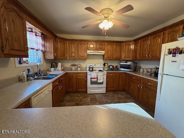 kitchen featuring ceiling fan, sink, and white appliances