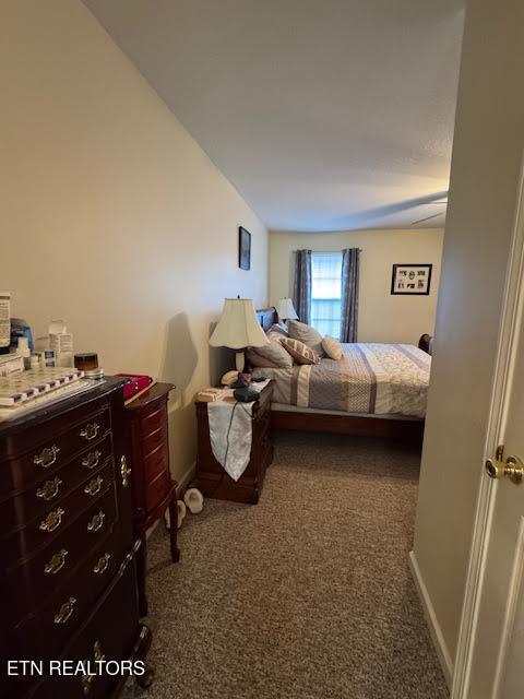 bedroom with dark carpet