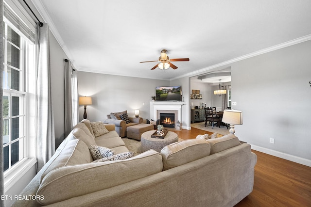 living room with wood-type flooring, a healthy amount of sunlight, and ornamental molding