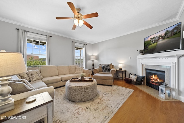 living room featuring hardwood / wood-style flooring, ceiling fan, and crown molding