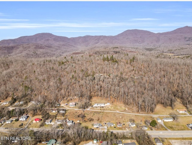 property view of mountains