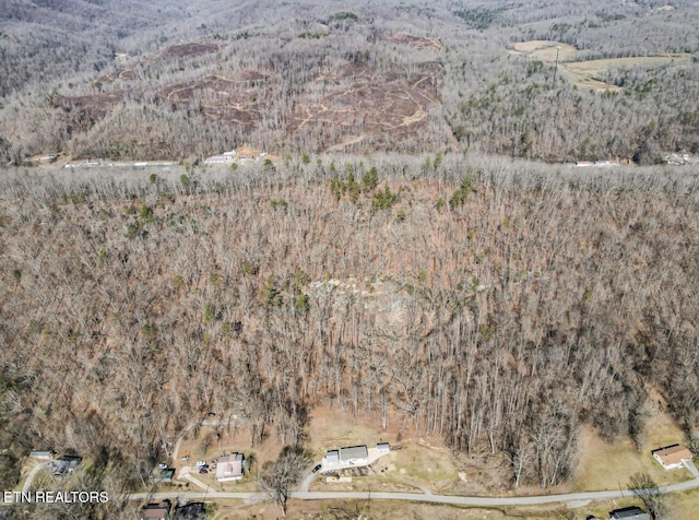 aerial view with a mountain view