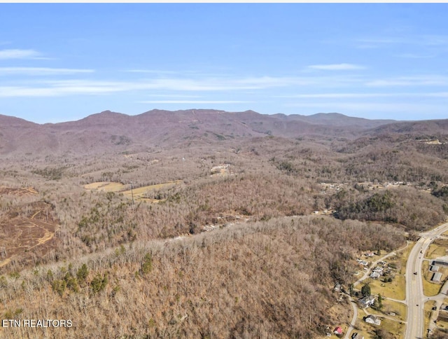 view of mountain feature