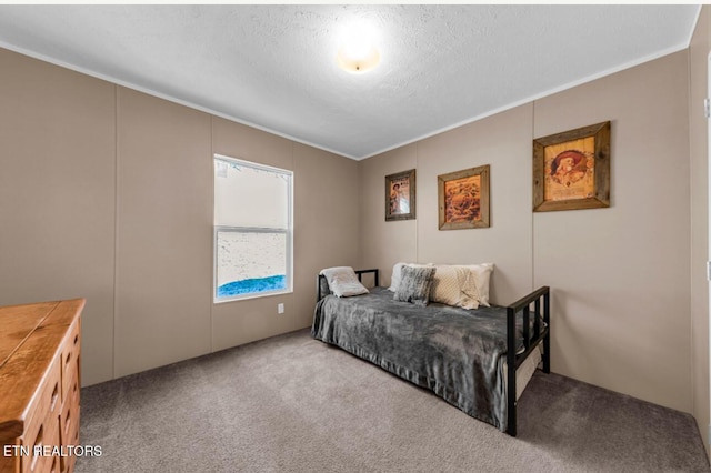 bedroom with crown molding, carpet floors, and a textured ceiling