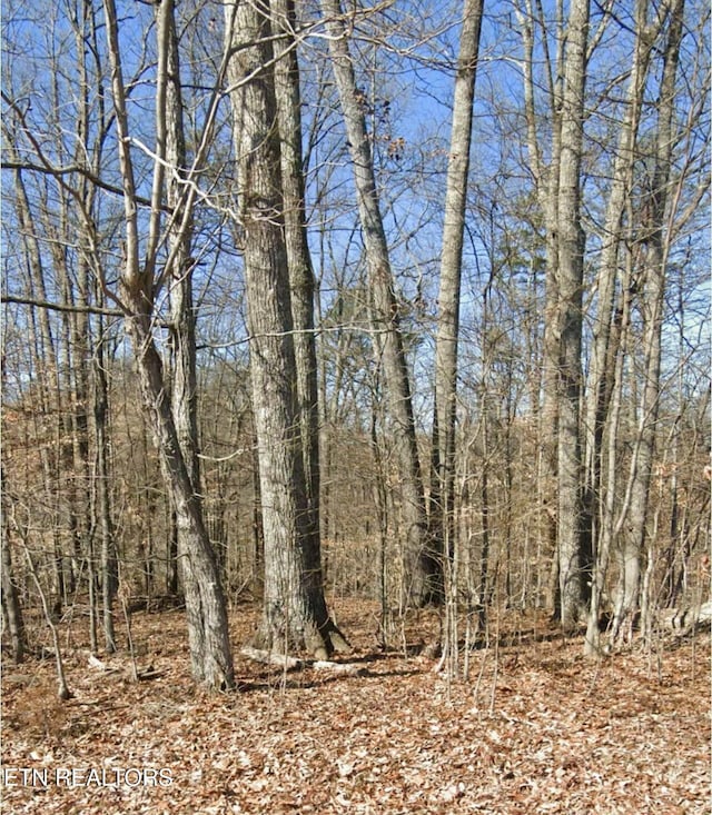 Madeline Ln, Rogersville TN, 37857 land for sale