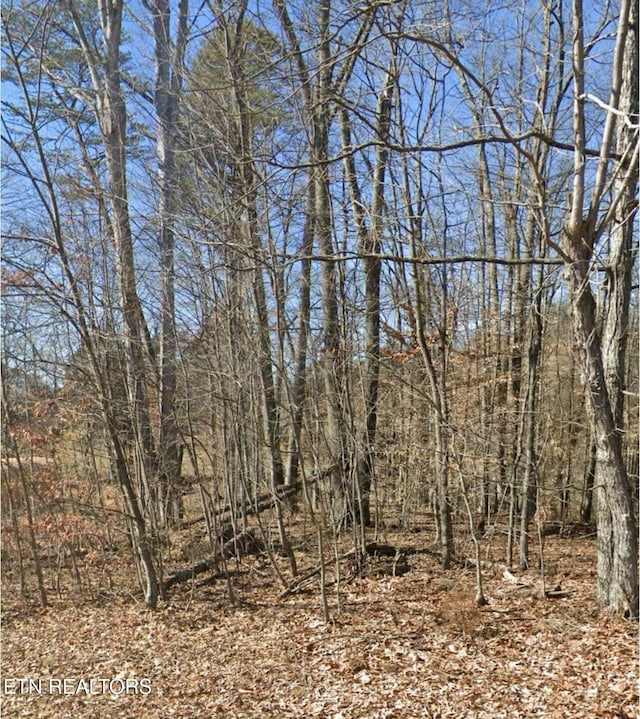 Listing photo 3 for Madeline Ln, Rogersville TN 37857