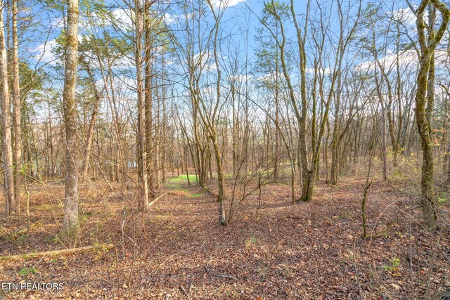 Old Athens Pike, Sweetwater, TN 37874