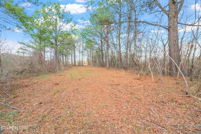 Old Athens Pike, Sweetwater, TN 37874