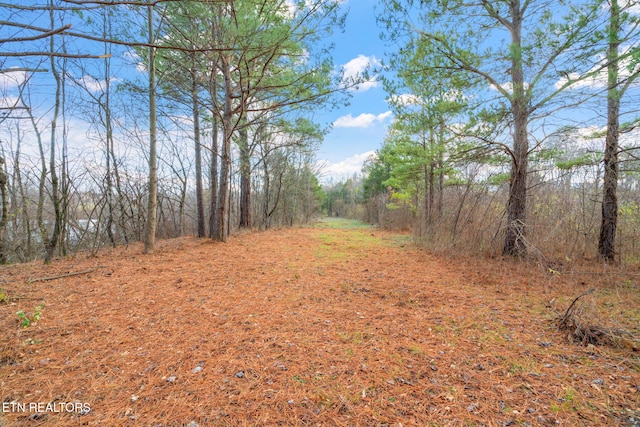 Old Athens Pike, Sweetwater, TN 37874
