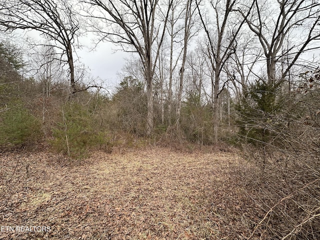 Listing photo 3 for 2226 Country Club Rd, Jamestown TN 38556