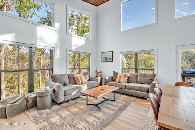 living room featuring light hardwood / wood-style floors