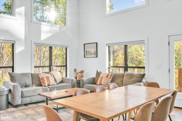 dining space featuring light hardwood / wood-style floors and a high ceiling