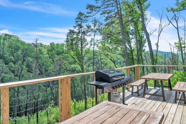 2216 Headrick Lead, Sevierville, TN 37862 - photo 22