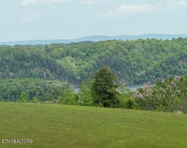 LOT13 Holly Bend Dr, Byrdstown TN, 38549 land for sale