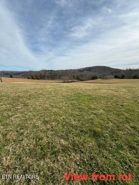 Listing photo 2 for LOT13 Holly Bend Dr, Byrdstown TN 38549