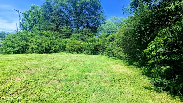 1112 Level Dr, Maryville, TN 37801 - photo 26