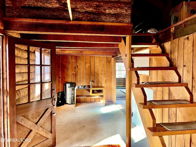 basement with wooden walls and carpet flooring