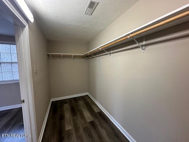 walk in closet with dark wood-type flooring