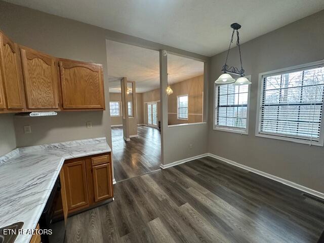 kitchen with dark hardwood / wood-style flooring and decorative light fixtures