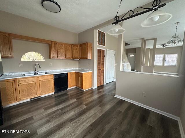 kitchen with sink, dark wood-type flooring, dishwasher, hanging light fixtures, and plenty of natural light