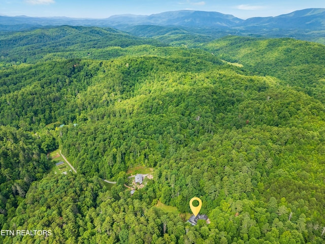 bird's eye view with a mountain view