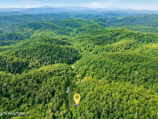 bird's eye view featuring a mountain view