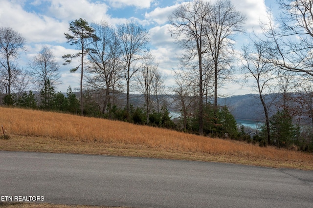 Listing photo 3 for LOTS2122 Deerfield Way, Lafollette TN 37766