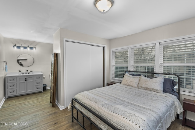 bedroom featuring wood-type flooring, sink, and a closet