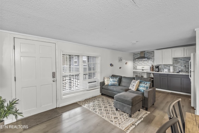 living room featuring sink, dark wood-type flooring, and a textured ceiling