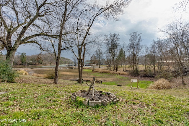 view of yard featuring a rural view