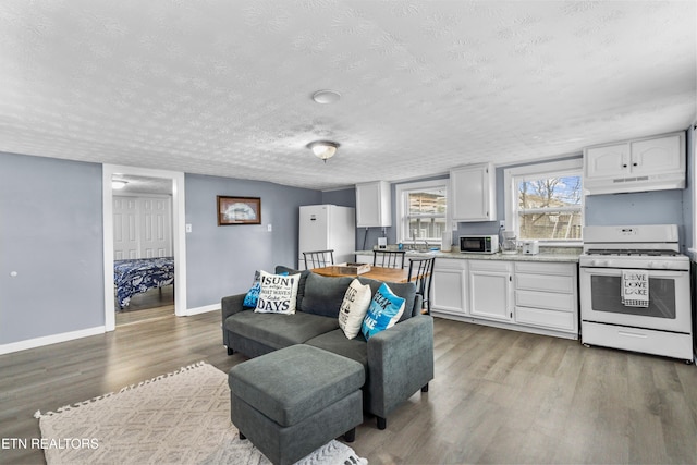 living room with wood-type flooring and a textured ceiling