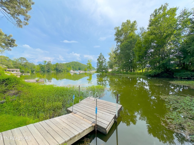 1212 Shaver Loop Rd, Dayton, TN 37321 - photo 2