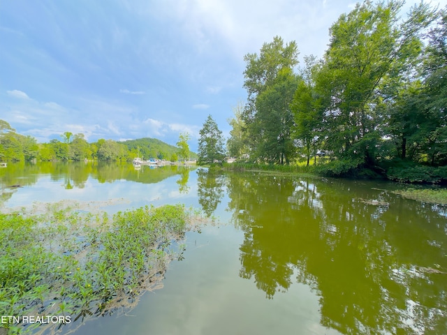 1212 Shaver Loop Rd, Dayton, TN 37321 - photo 60
