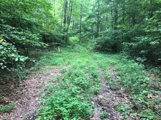 Listing photo 3 for Hickory Star Rd, Maynardville TN 37807