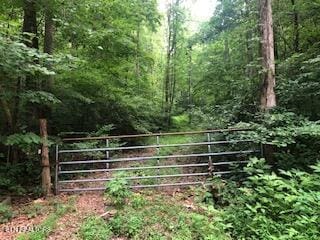 Hickory Star Rd, Maynardville TN, 37807 land for sale