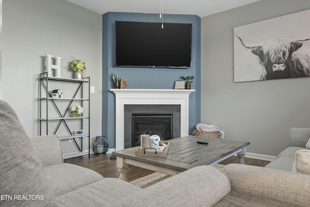 living room with dark hardwood / wood-style flooring