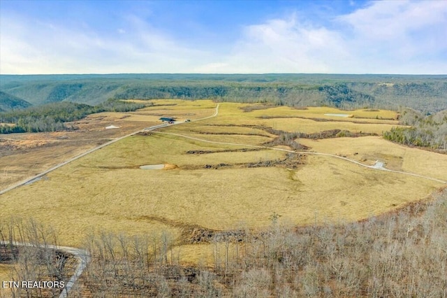 drone / aerial view featuring a rural view