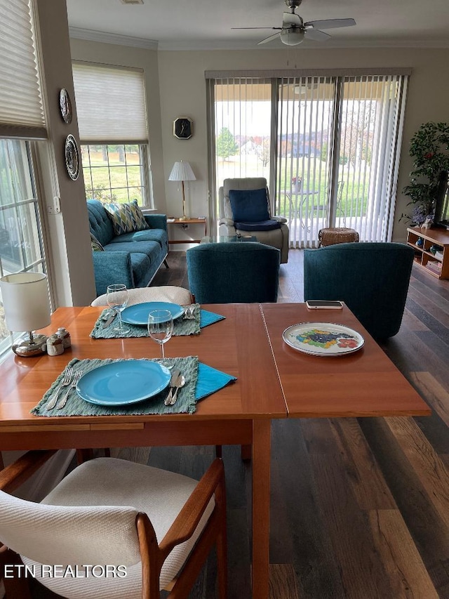 dining space featuring ceiling fan, wood-type flooring, ornamental molding, and a healthy amount of sunlight